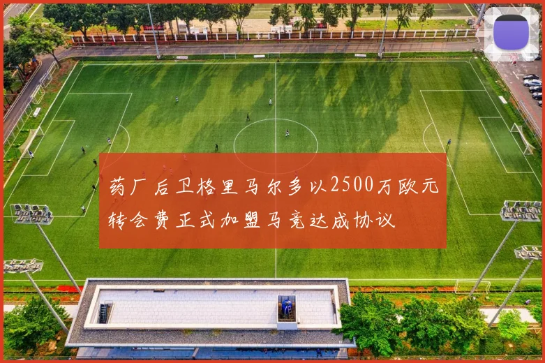 药厂后卫格里马尔多以2500万欧元转会费正式加盟马竞达成协议