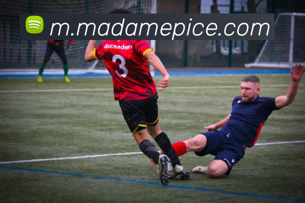 aoa网页版入口平台生态图